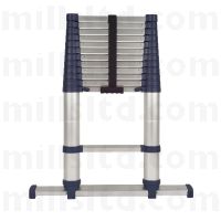 Xtend & Climb Pro Telescopic Ladder 3.8m